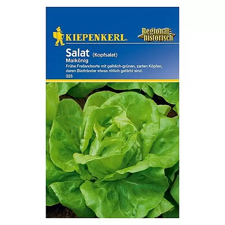 Kiepenkerl  Salatsamen Kopfsalat