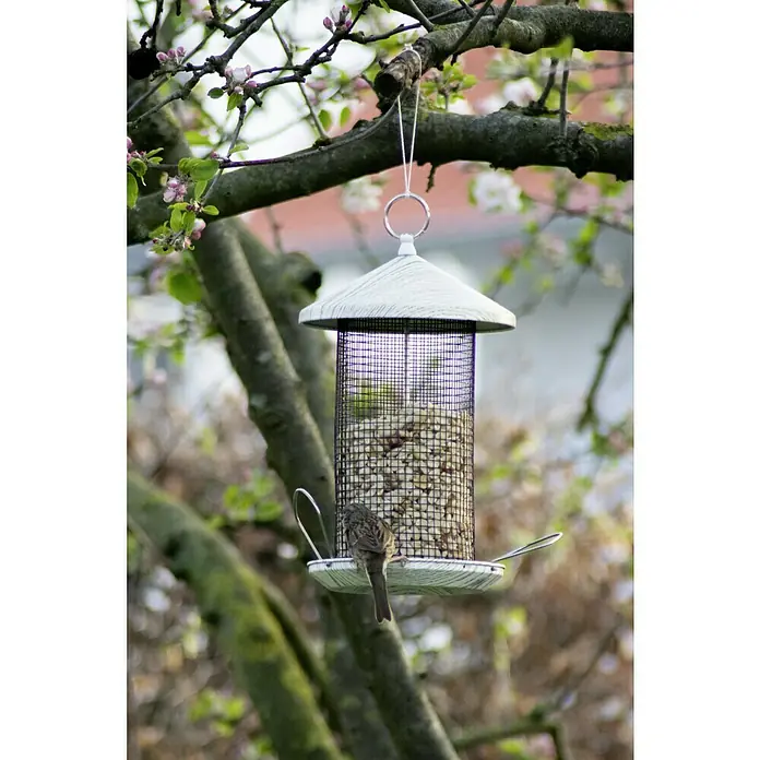 Dobar Futterspender Smooth - L x B x H: 19 x 19 x 31,5 cm, Metall, Mit Silo - Nahaufnahme eines Vogelhäuschens voller Vogelfutter, an einem Baum befestigt, mit einem kleinen Spatz, der auf der Plattform sitzt und frisst.