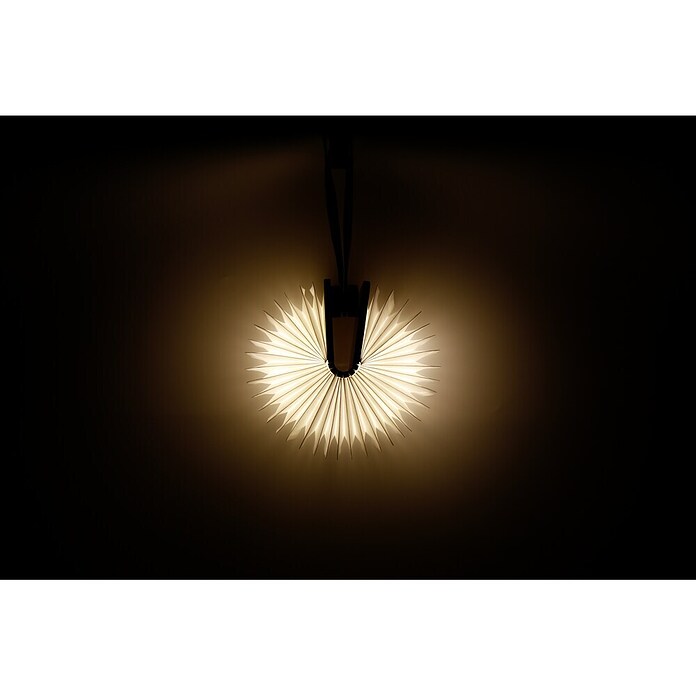 Luz de noche LED (Marrón/Transparente, 2,5 x 9 x 12,3 cm, RGBW)