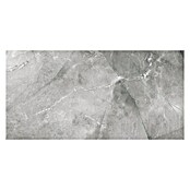 Feinsteinzeugfliese (60 x 120 cm, Grau, Poliert)