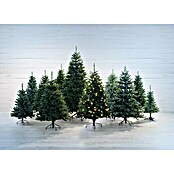 Künstlicher Weihnachtsbaum Sherwood (Höhe: 185 cm)