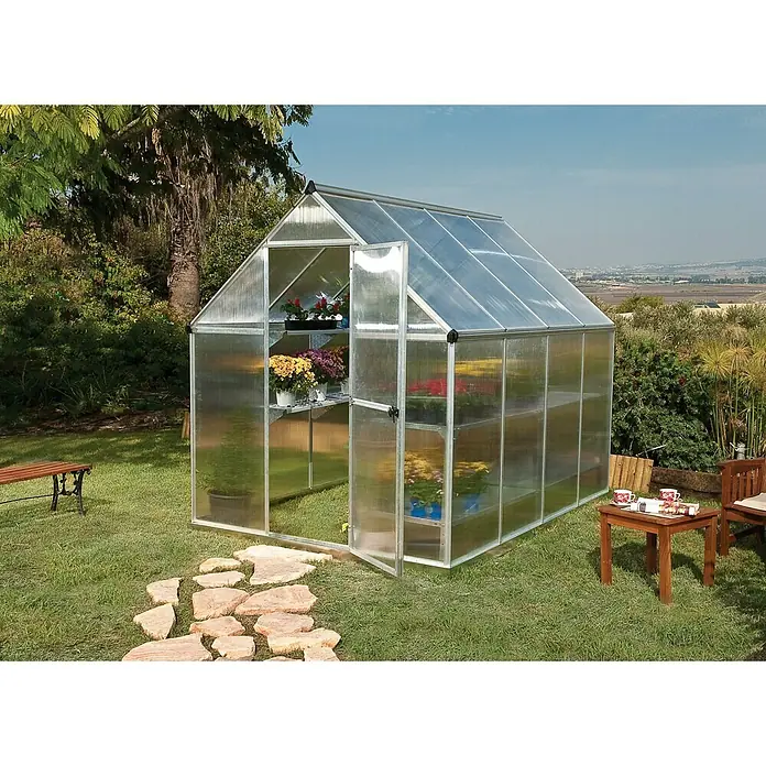 Palram – Canopia Gewächshaus Mythos 6x8 - Außenmaß inkl. Dachüberstand (B x T): 185 x 247 cm, 4 mm, Silber/Transparent - Nahaufnahme eines Gewächshauses mit geöffneter Tür, das Pflanzen auf Regalen zeigt, auf einem Rasen mit Gartenmöbeln.