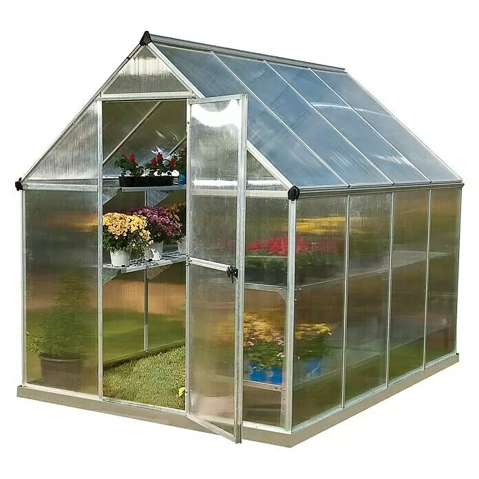 Palram – Canopia Gewächshaus Mythos 6x8 - Außenmaß inkl. Dachüberstand (B x T): 185 x 247 cm, 4 mm, Silber/Transparent - Gewächshaus mit Aluminiumrahmen und transluzenten Platten, offener Tür und Innenregalen mit Topfpflanzen.