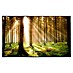 Papermoon Infrarot-Bildheizkörper Autumn Pine Forest Nr. 459 