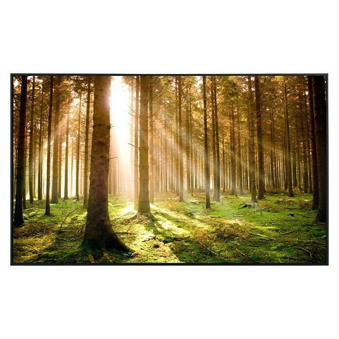 Papermoon Infrarot-Flachheizkörper Autumn Pine Forest Nr. 459 (100 x 60 cm, 600 W)