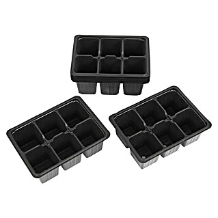 Floraworld Lonček za gojenje (Do x Š x V: 18 x 13,5 x 6 cm, 60 kos, Črne barve)