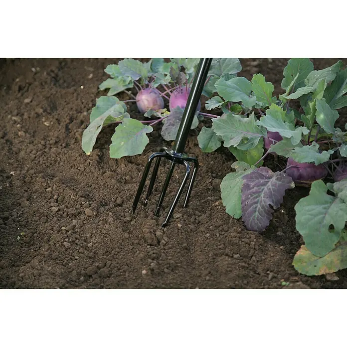 Freund Victoria Gartenkralle - Anzahl Zinken: 5, Mit Stiel - Nahaufnahme einer Handhacke im Gartenbeet, ideal zum Auflockern des Bodens und zur Gartenpflege.