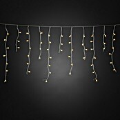 Konstsmide LED-Lichtervorhang (Außen, 200-flammig, L x B: 0,7 x 20,27 m)