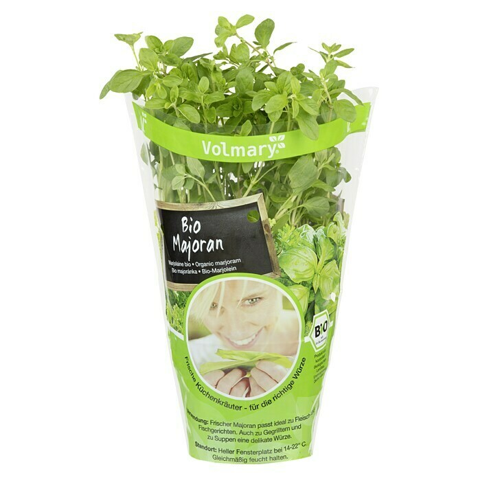 Origanum majorana 12BIO