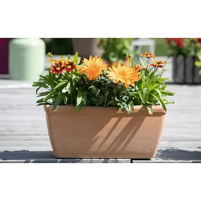 Piardino Gazania - Gazania 'Deep Orange', Topfvolumen: 13 l - Ein rechteckiger Terrakotta-Pflanzkasten gefüllt mit einer bunten Mischung aus gelben und rotbraunen Sommerblumen auf einer Holzterrasse.