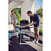 Enders Gasgrill Urban (Grillfläche (B x T): 48 x 32 cm, 4,4 kW, Anzahl Brenner: 2 Stk.) | BAUHAUS