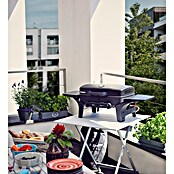 Enders Gasgrill Urban (Grillfläche (B x T): 48 x 32 cm, 4,4 kW, Anzahl Brenner: 2 Stk.) | BAUHAUS