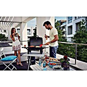 Enders Gasgrill Urban (Grillfläche (B x T): 48 x 32 cm, 4,4 kW, Anzahl Brenner: 2 Stk.) | BAUHAUS