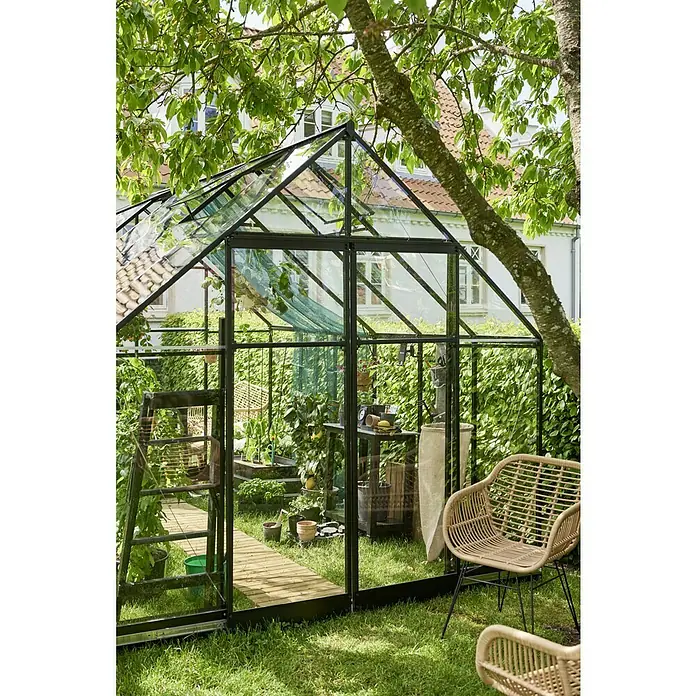 Halls Gewächshaus Qube 812 - Außenmaß inkl. Dachüberstand (B x T): 261 x 385 cm, 3 mm, Schwarz - Gewächshaus mit Pflanzen und Möbeln im Garten. Das Gewächshaus ist aus Glas und Metall gefertigt und bietet Platz für Pflanzenzucht.