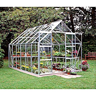 Halls Gewächshaus Magnum 128 (Außenmaß inkl. Dachüberstand (B x T): 257 x 384 cm, Silber, Wandstärke: 3 mm)