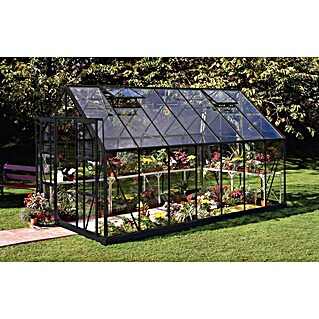 Halls Gewächshaus Magnum 148 (Außenmaß inkl. Dachüberstand (B x T): 257 x 446 cm, Schwarz, Wandstärke: 3 mm)