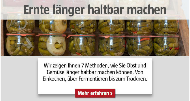 Ernte haltbar machen