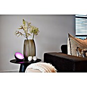 Calex Decoratieve ronde ledlamp Moodlight (Zwart, Diameter: 175 mm) | BAUHAUS