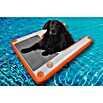 Badeleiter Dog Ramp XL (L x B x H: 129 x 89 x 17 cm, Orange/Grau) | BAUHAUS