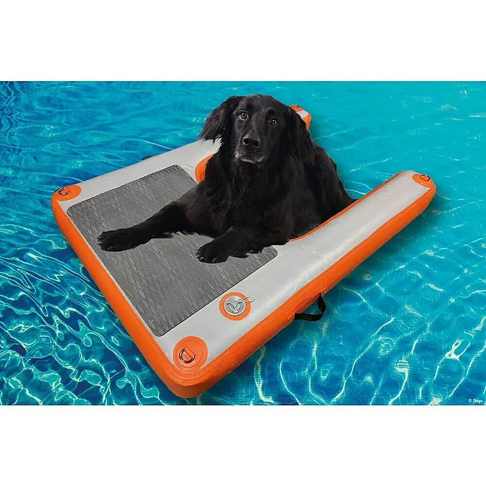 Badeleiter Dog Ramp Mini - L x B x H: 96 x 67 x 12 cm - Ein entspannter schwarzer Hund liegt auf einer orangefarbenen und grauen Schwimminsel im Pool und genießt die Sonne.