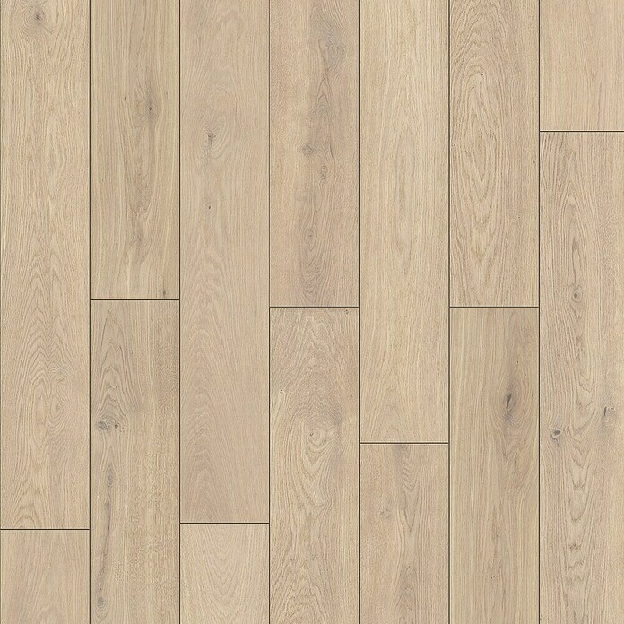 LOGOCLIC Vinto Laminat Classic (Eiche Cornsilk, Landhausdiele, 1 288 x 195 x 8 mm) | BAUHAUS