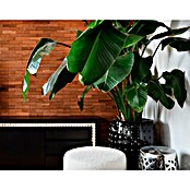 Calex Led-strip Smart Striplight (Lengte: 2 m, Lichtkleur: RGB, 480 lm, 12 V) | BAUHAUS