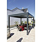 Wismar-NFI Pergola Bio (L x B: 400 x 339,6 cm, Grau)