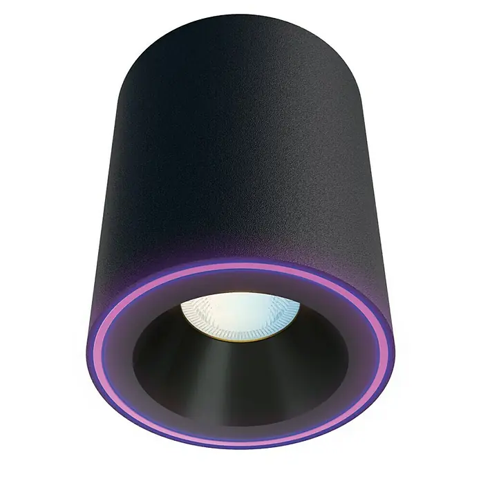 EGLO connect Paranday-Z LED plafondlamp 4-l. 63cm