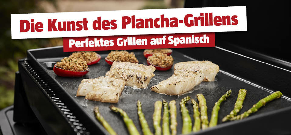 Plancha Grill