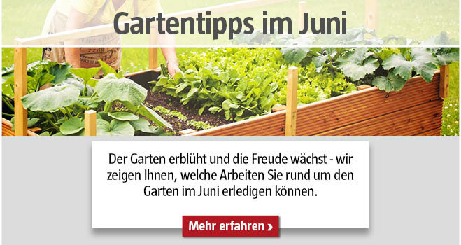 Gartentipps im Juni