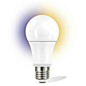 Garza Smart Home Bombilla LED (12 W, E27, Color de luz: Blanco, Intensidad regulable, Redondeada)