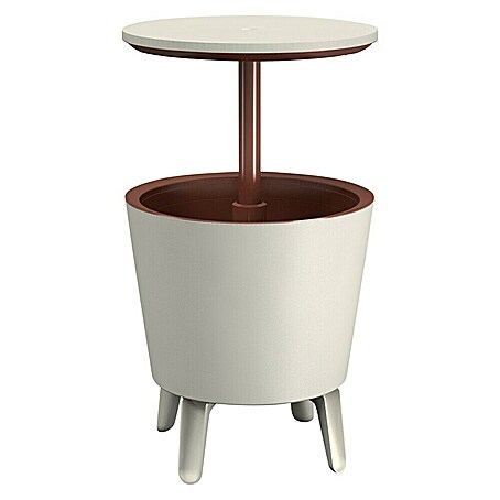 Keter Nevera Cool Bar (L x An x Al: 49,5 x 49,5 x 84,5 cm, Blanco/Marrón)