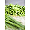 Piardino Schnittlauch Bio (Allium schoenoprasum , Topfgröße: 12 cm)
