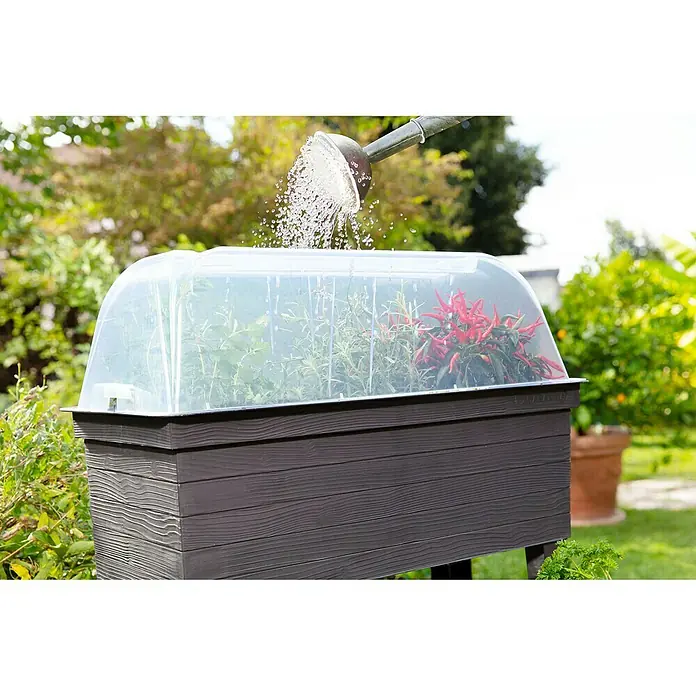 Garantia Urban Anzuchthaube - 75 x 37 x 22 cm - Ein Hochbeet mit transparentem Deckel wird mit einer Gießkanne bewässert, ideal für den Garten oder Balkon.