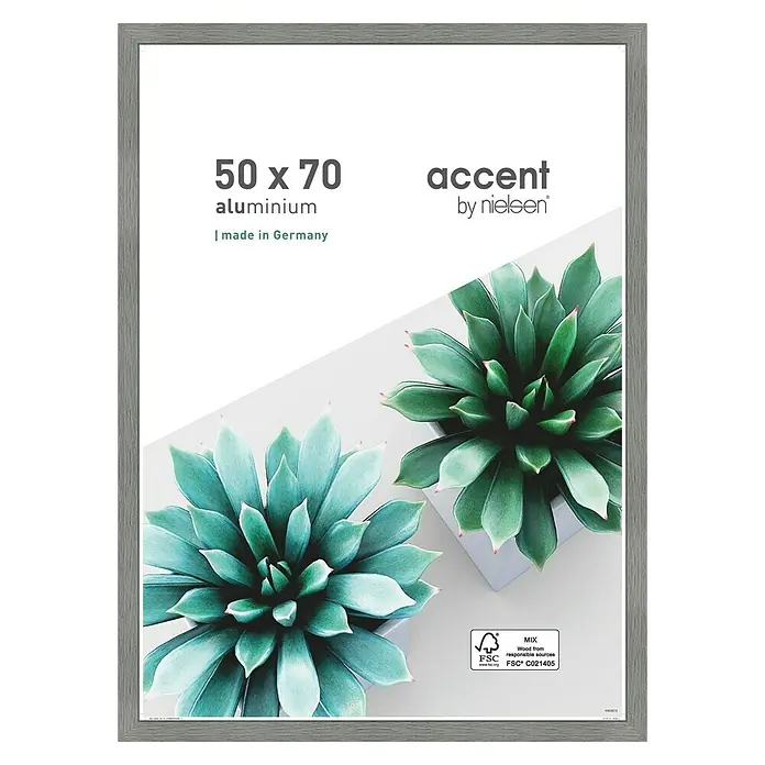 Alurahmen Star - 50 x 70 cm, Grau - Ein grauer 50x70 Aluminium-Bilderrahmen der Marke Accent by Nielsen, dekoriert mit Sukkulenten, für stilvolle Wanddekoration.