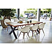 Tuintafel (l x b: 220 x 100 cm, Materiaal tafelblad: Hout)