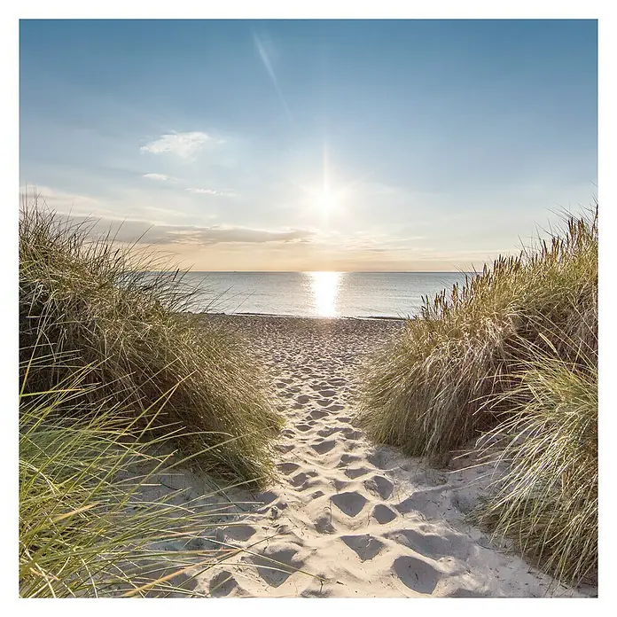 ProArt Glasbild - Nordsee, B x H: 20 x 20 cm - Ein sonnenbeschienener Pfad durch Dünengras führt zu einem ruhigen Strand. Die warmen Farben erzeugen eine friedliche Atmosphäre.
