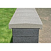 Mauerabdeckplatte S (25 x 31 x 5 cm, Grau, Beton)