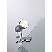 Paulmann Klemmspot Gryps (1-flammig, 40 W, Silber)