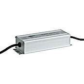 Paulmann Plug & Shine Transformador LED (Potencia máx.: 75 W, 24 V, Plateado)