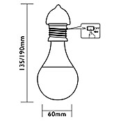 Luxform Solarna viseća svjetiljka (LED, Prozirno, Š x V: 6 x 13,5 cm)