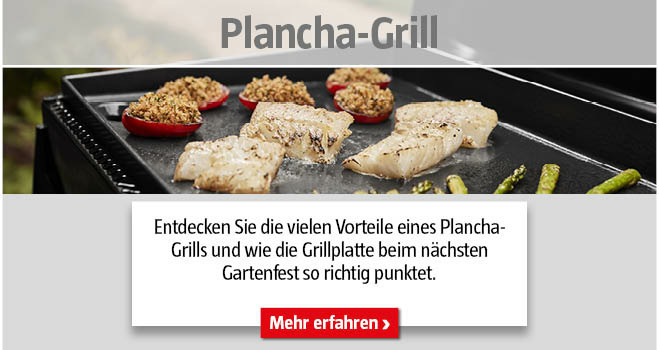 Plancha-Grill