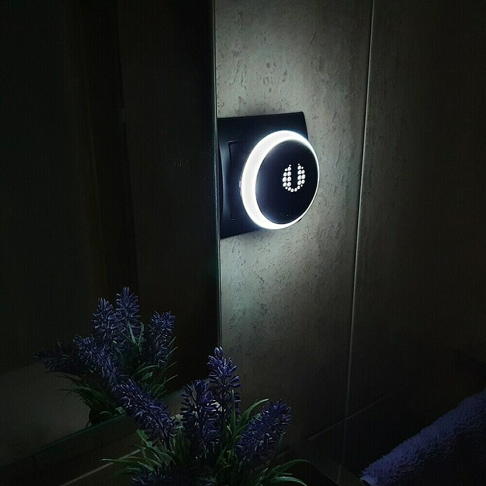 Eurobric 2000 Repelente de animales por ultrasonidos con luz LED (30 m², Negro) | BAUHAUS