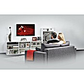 Hama TV-Wandhalterung starr (Passend für: Bildschirmdiagonale 32 - 75″, Belastbarkeit: 40 kg, Wandabstand: 2,5 cm) | BAUHAUS