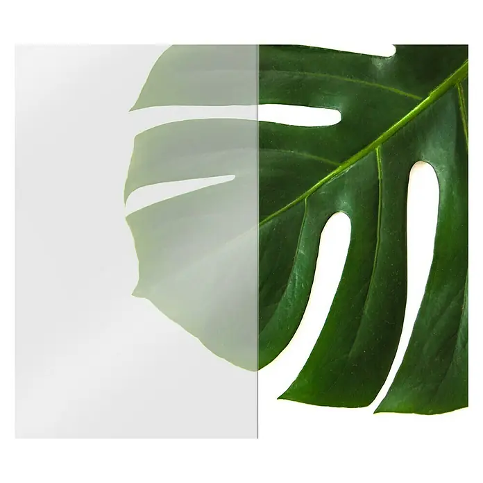 CUCINE Küchenrückwand - Satiniert, 80 x 40 cm, Stärke: 6 mm, Einscheibensicherheitsglas (ESG) - Ein faszinierendes Bild, das ein Monstera-Blatt zeigt, halb transparent, halb in lebendigem Grün. Einzigartige Textur und visuelle Tiefe des Blattes.