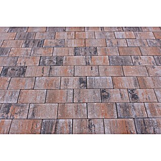 Seesteiner Pflasterstein Piazza (L x B x S: 22,5 x 15 x 5 cm, Muschelkalk, Beton)