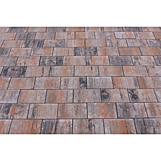 Seesteiner Pflasterstein Piazza (L x B x S: 22,5 x 15 x 5 cm, Muschelkalk, Beton)