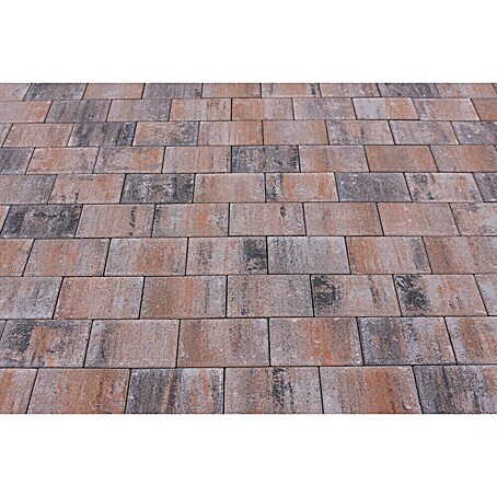Seesteiner Pflasterstein Piazza (L x B x S: 22,5 x 15 x 5 cm, Muschelkalk, Beton)