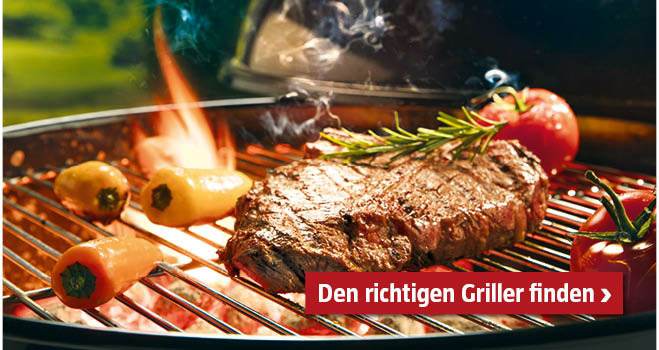 Griller Auswahl