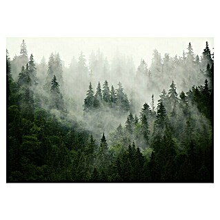 Fototapete Bäume-Nebel (B x H: 312 x 219 cm, Vlies)
